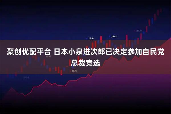 聚创优配平台 日本小泉进次郎已决定参加自民党总裁竞选