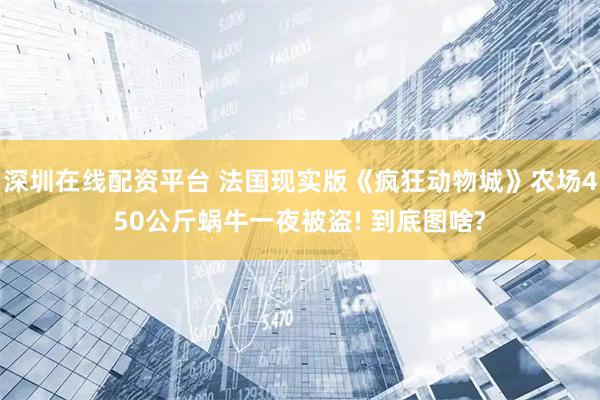 深圳在线配资平台 法国现实版《疯狂动物城》农场450公斤蜗牛一夜被盗! 到底图啥?