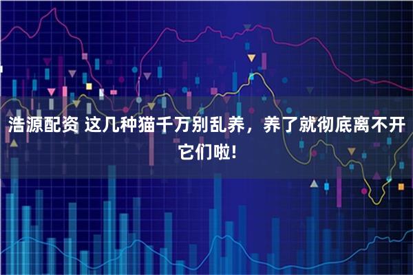 浩源配资 这几种猫千万别乱养，养了就彻底离不开它们啦!