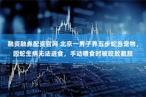 融资融券配资官网 北京一男子养五步蛇当宠物，因蛇生病无法进食，手动喂食时被咬致截肢