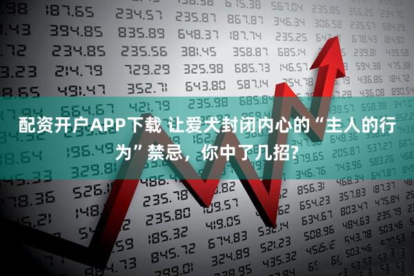 配资开户APP下载 让爱犬封闭内心的“主人的行为”禁忌，你中了几招?