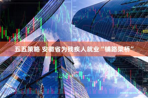 五五策略 安徽省为残疾人就业“铺路架桥”