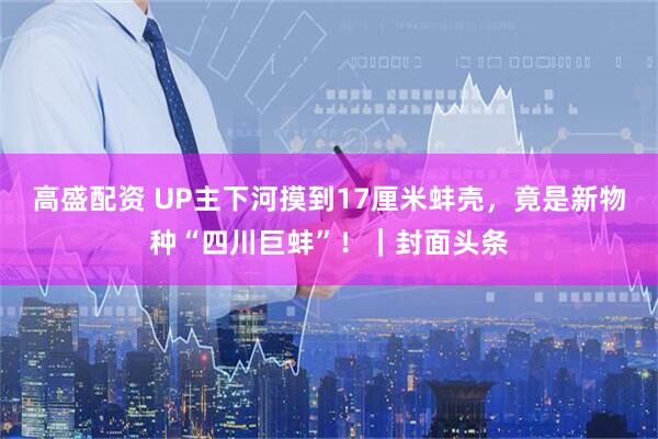 高盛配资 UP主下河摸到17厘米蚌壳，竟是新物种“四川巨蚌”！｜封面头条