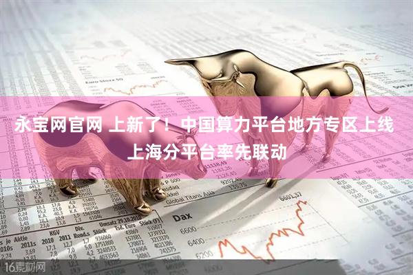 永宝网官网 上新了！中国算力平台地方专区上线 上海分平台率先联动