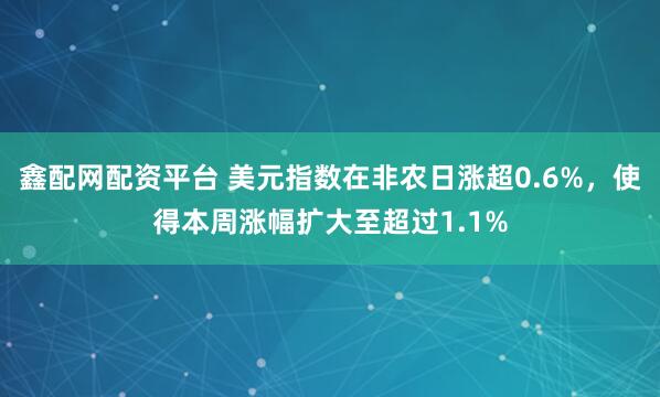 鑫配网配资平台 美元指数在非农日涨超0.6%，使得本周涨幅扩大至超过1.1%